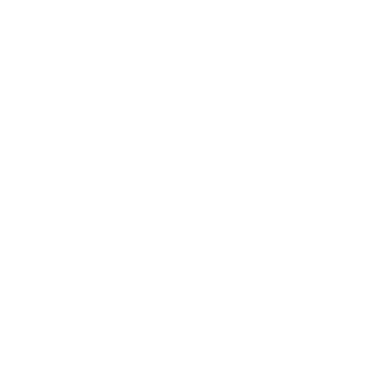 logo website